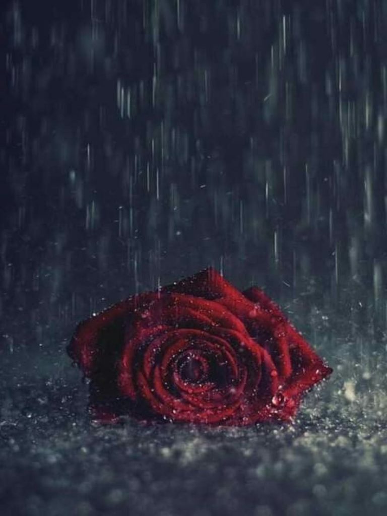 poesía-gabriela
