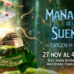 View of a green forest