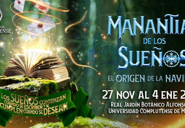 View of a green forest