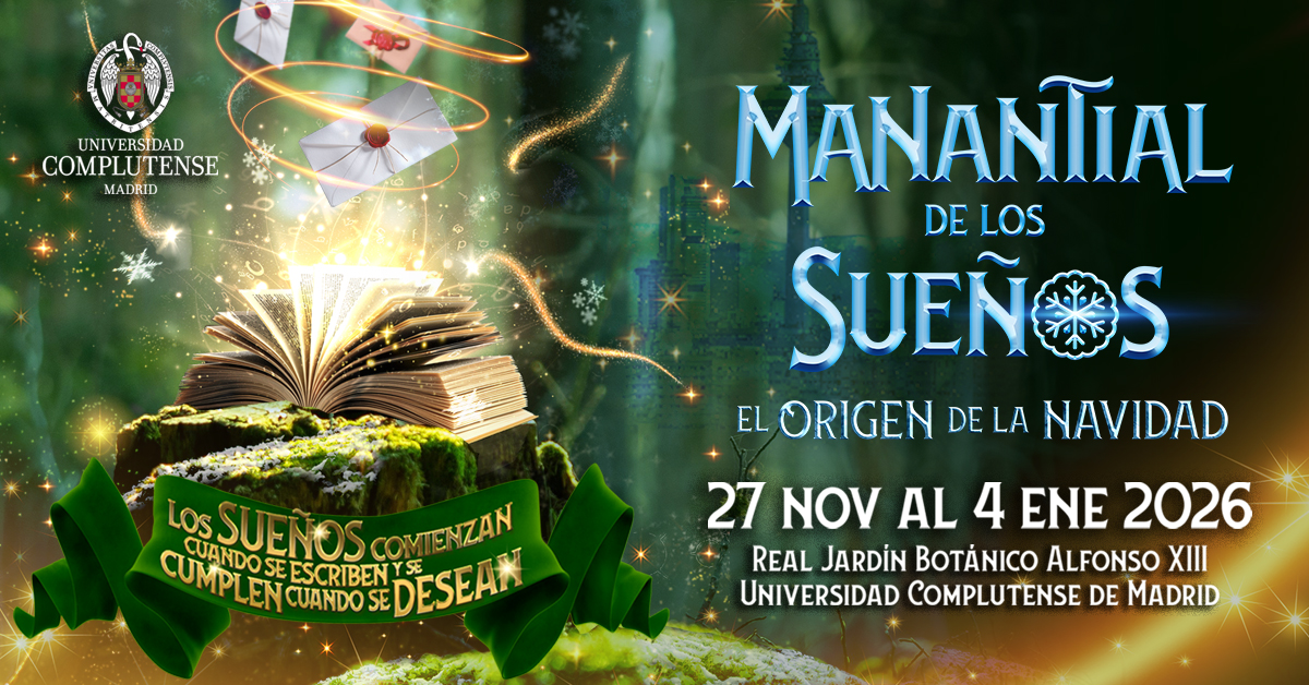 View of a green forest