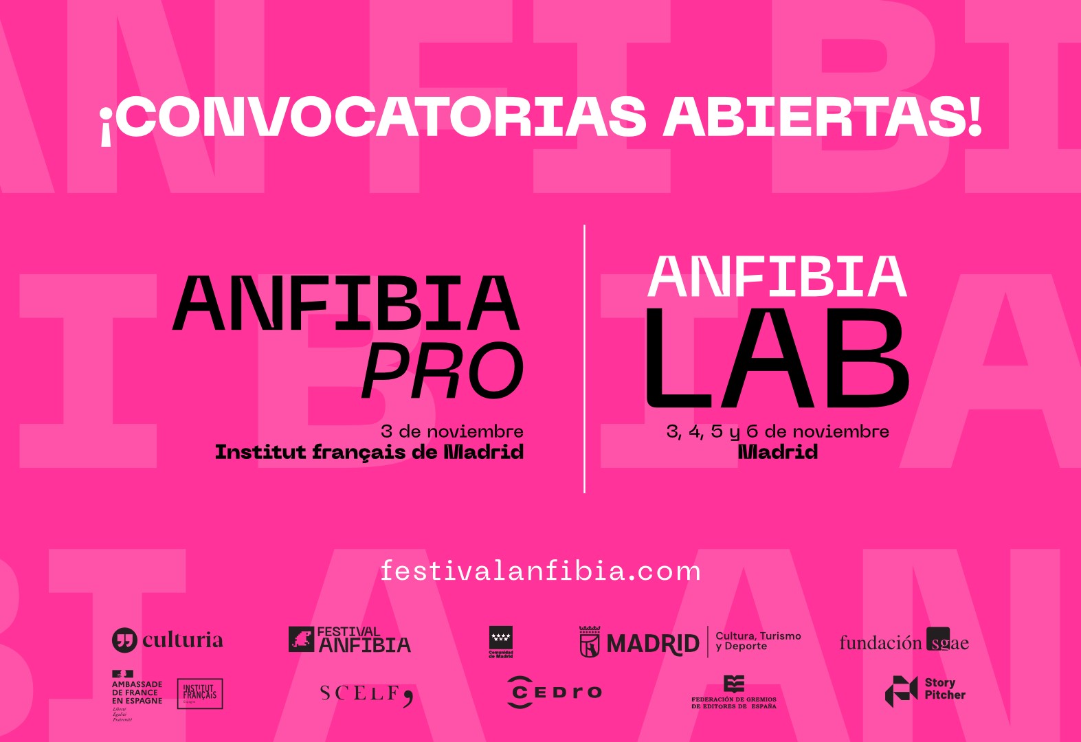 FESTIVAL-ANFIBIA